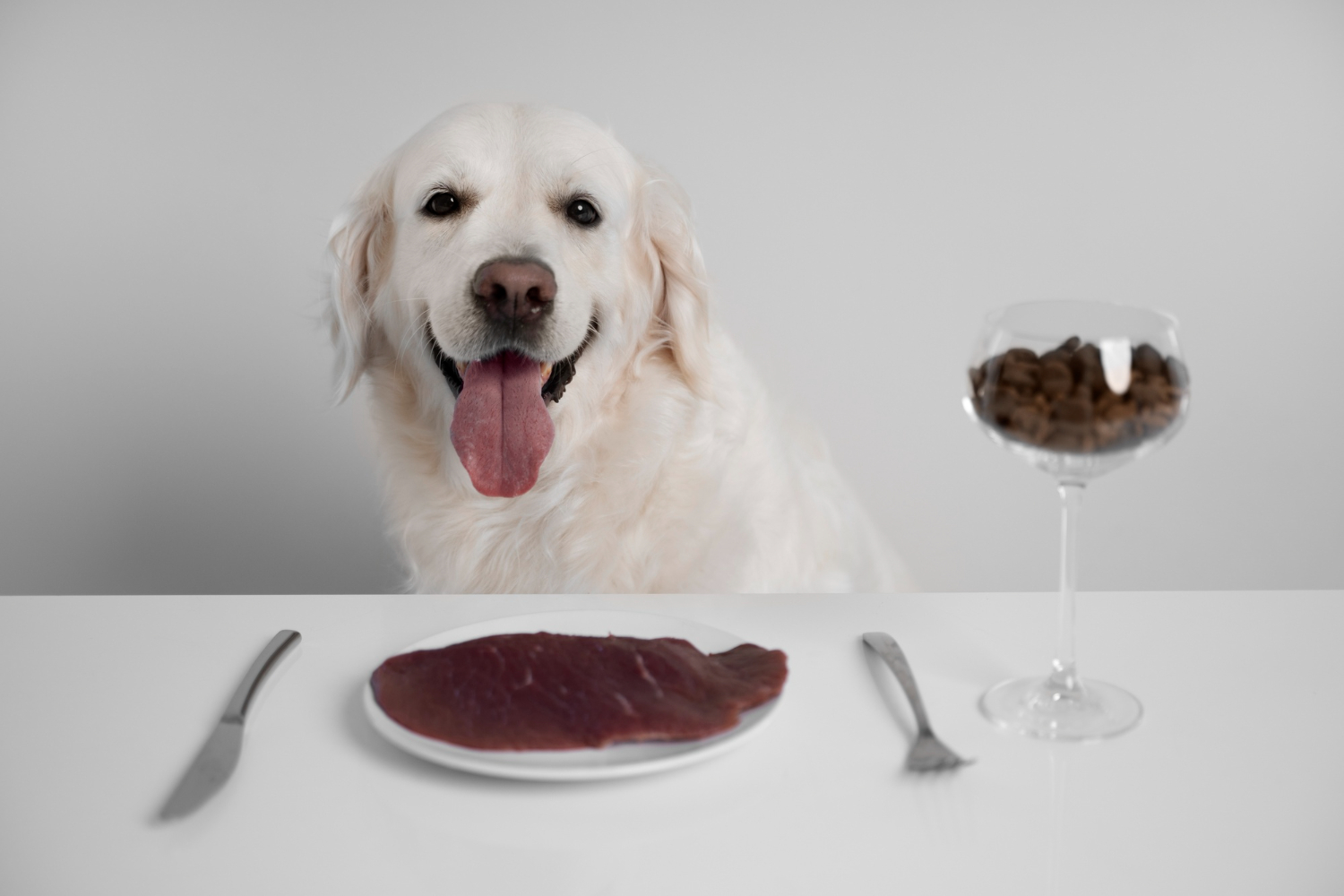 6 อาหารใกล้ตัวที่เป็นพิษต่อน้องหมา